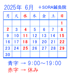 2025年6月の予定