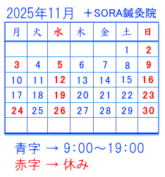 2025年11月の予定