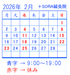 2026年2月の予定